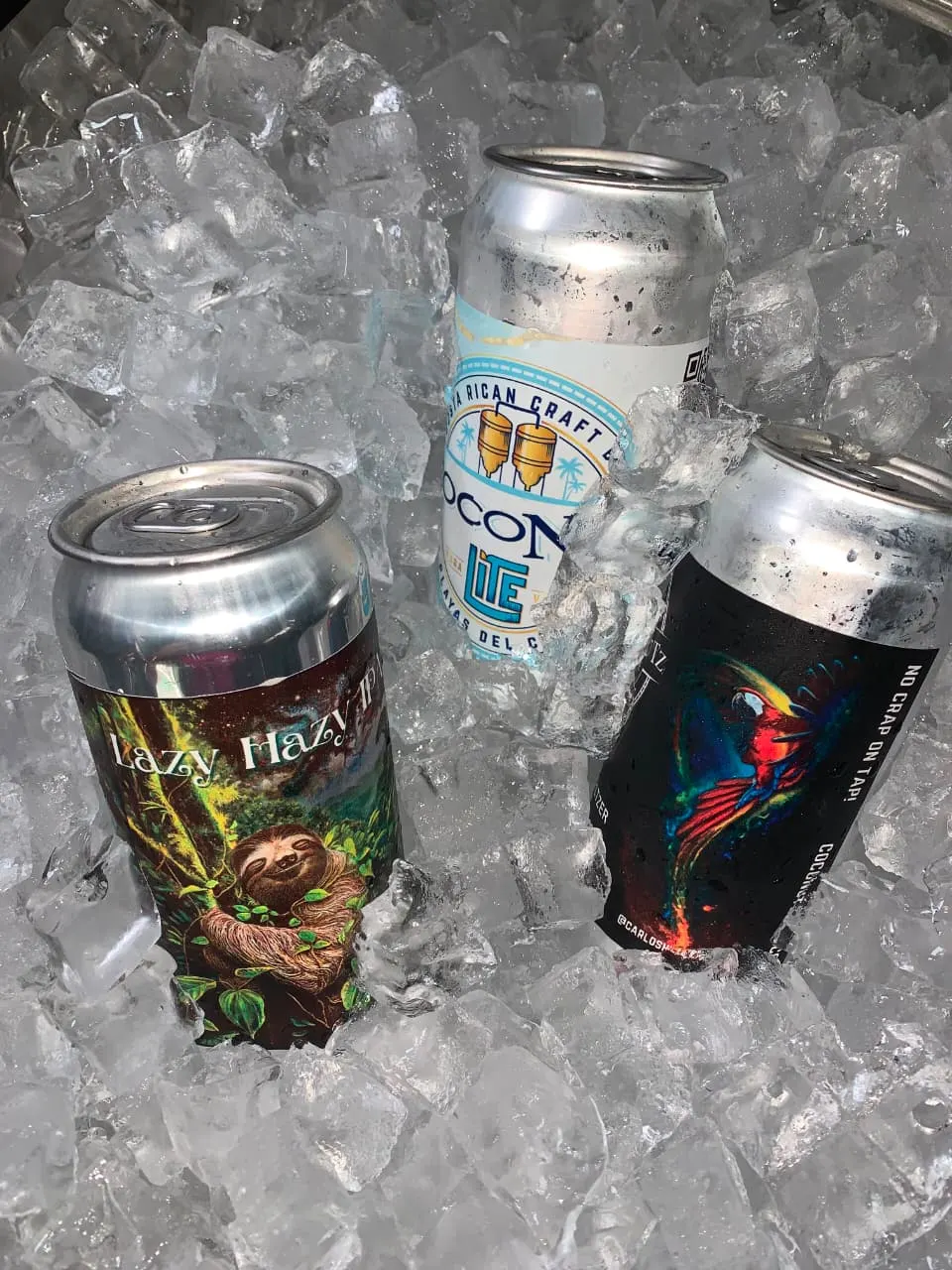 Latas de cerveza Coconutz enfriándose en hielo